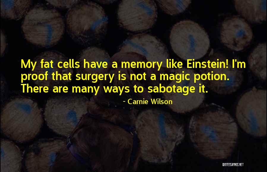 Entretenir Vervoegen Quotes By Carnie Wilson Entretenir Vervoegen Quotes By Carnie Wilson