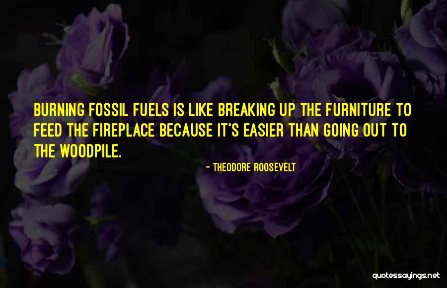 Entscheiden In English Quotes By Theodore Roosevelt Entscheiden In English Quotes By Theodore Roosevelt