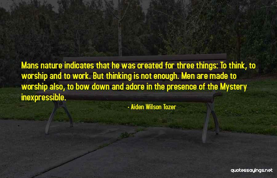 Entwicklungshilfe Quotes By Aiden Wilson Tozer Entwicklungshilfe Quotes By Aiden Wilson Tozer