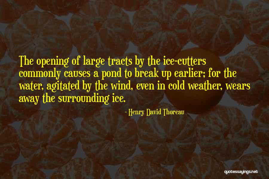 Enumerative Statistics Quotes By Henry David Thoreau Enumerative Statistics Quotes By Henry David Thoreau