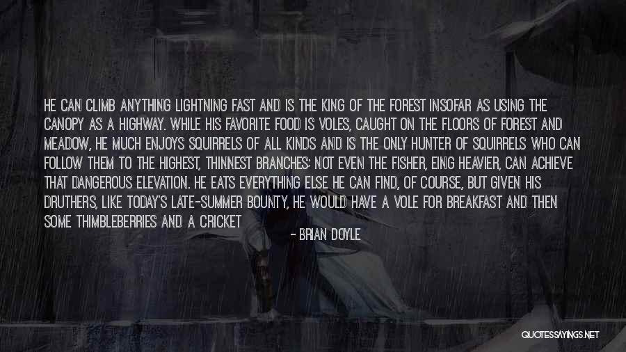 Enunt Quotes By Brian Doyle Enunt Quotes By Brian Doyle