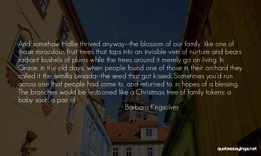 Envelope Quotes By Barbara Kingsolver Envelope Quotes By Barbara Kingsolver