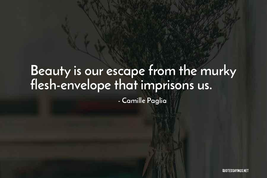 Envelope Quotes By Camille Paglia Envelope Quotes By Camille Paglia