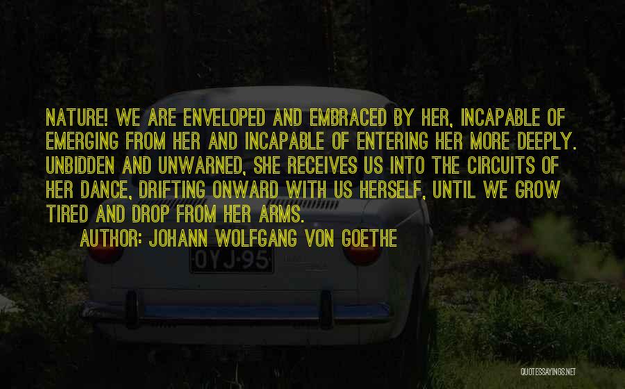 Enveloped Quotes By Johann Wolfgang Von Goethe