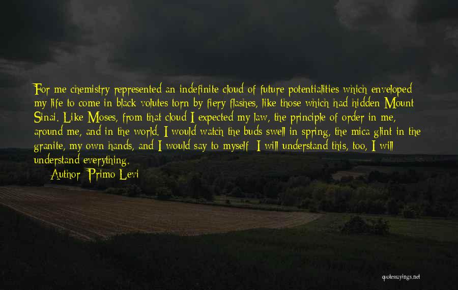 Enveloped Quotes By Primo Levi