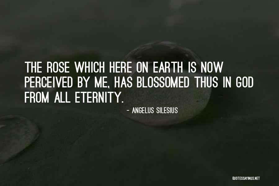 Envidiosa In English Quotes By Angelus Silesius Envidiosa In English Quotes By Angelus Silesius