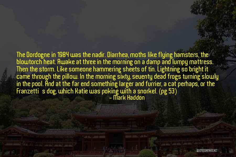 Envidiosa In English Quotes By Mark Haddon Envidiosa In English Quotes By Mark Haddon