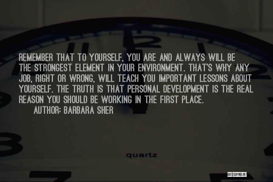 Environment And Development Quotes By Barbara Sher