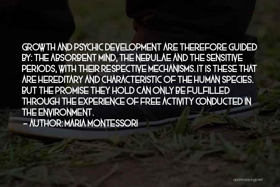 Environment And Development Quotes By Maria Montessori