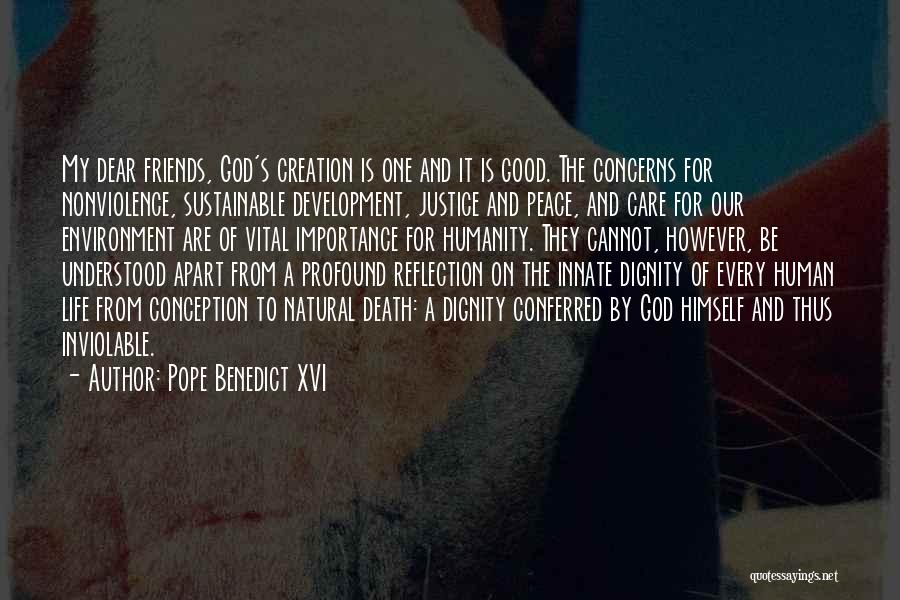 Environment And Development Quotes By Pope Benedict XVI