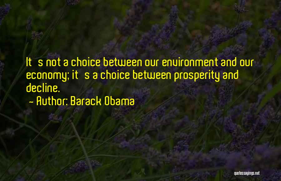 Environment And Economy Quotes By Barack Obama