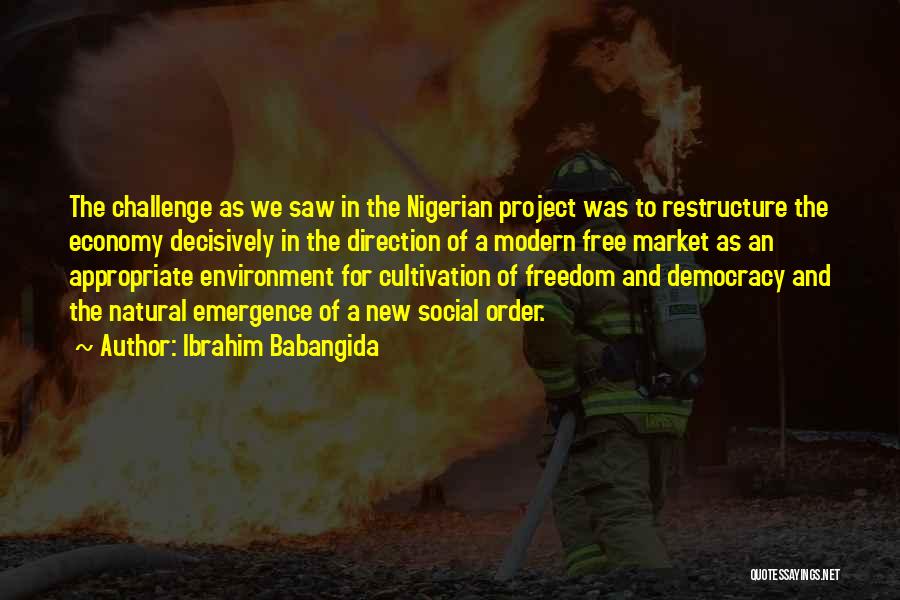 Environment And Economy Quotes By Ibrahim Babangida