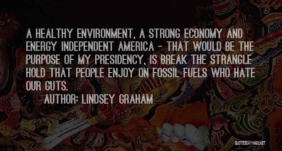 Environment And Economy Quotes By Lindsey Graham