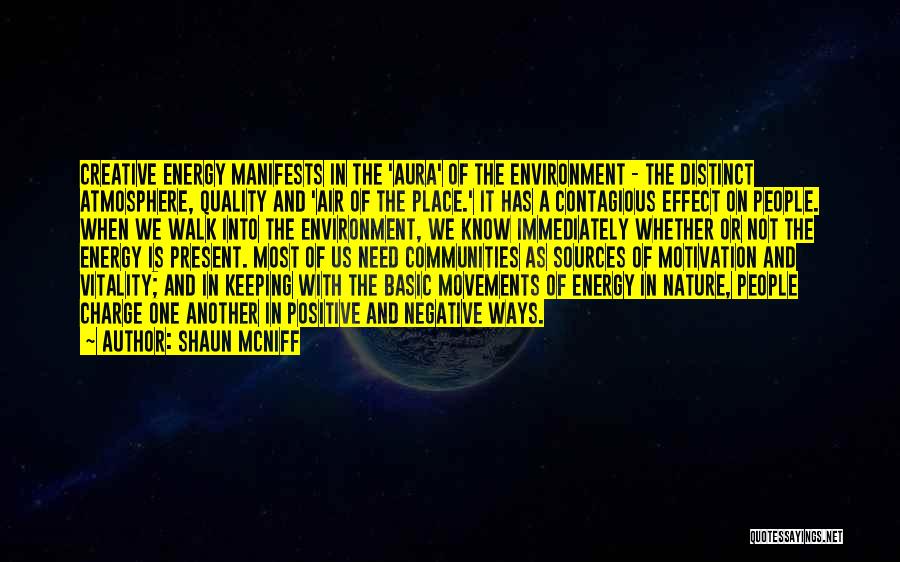 Environment And Nature Quotes By Shaun McNiff