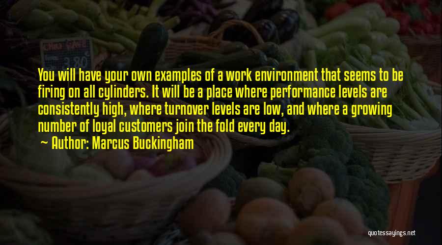 Environment Day Quotes By Marcus Buckingham