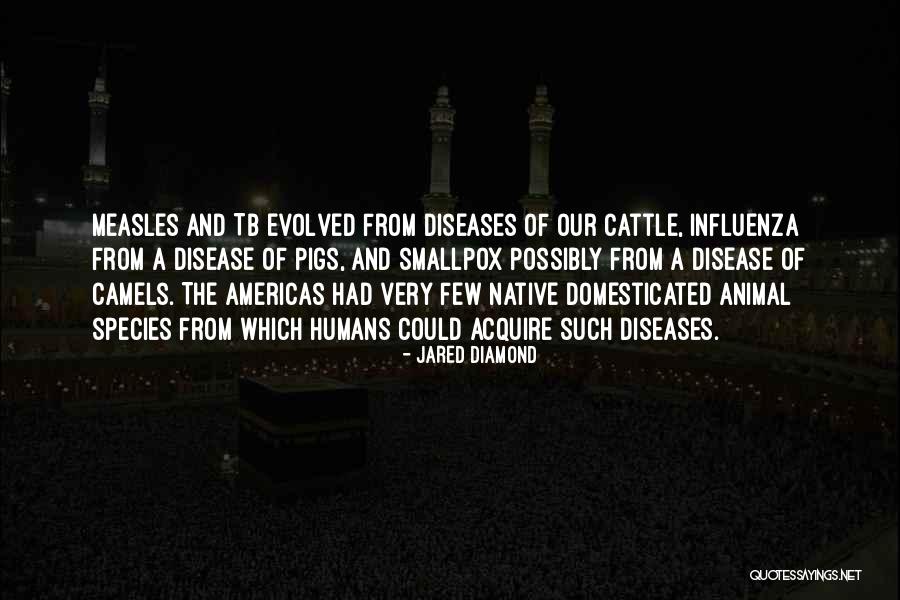 Environment Variable Remove Quotes By Jared Diamond Environment Variable Remove Quotes By Jared Diamond
