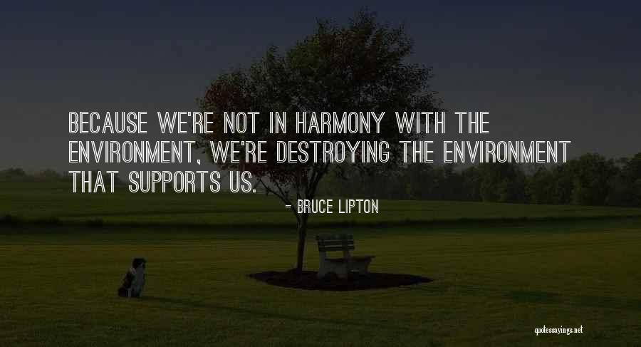 Environment With Quotes By Bruce Lipton Environment With Quotes By Bruce Lipton
