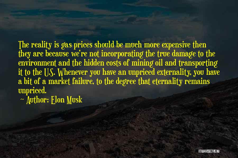 Environmental Damage Quotes By Elon Musk