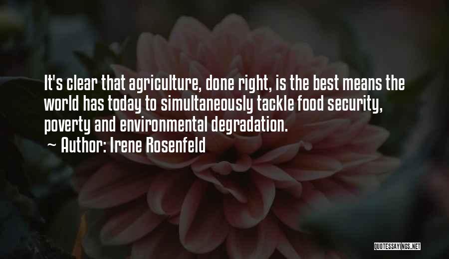 Environmental Degradation Quotes By Irene Rosenfeld