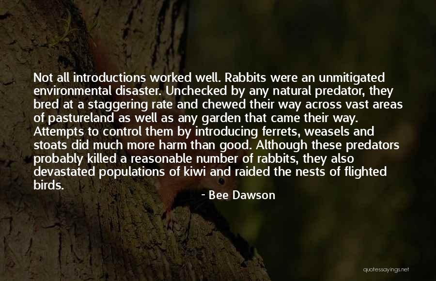 Environmental Disaster Quotes By Bee Dawson Environmental Disaster Quotes By Bee Dawson