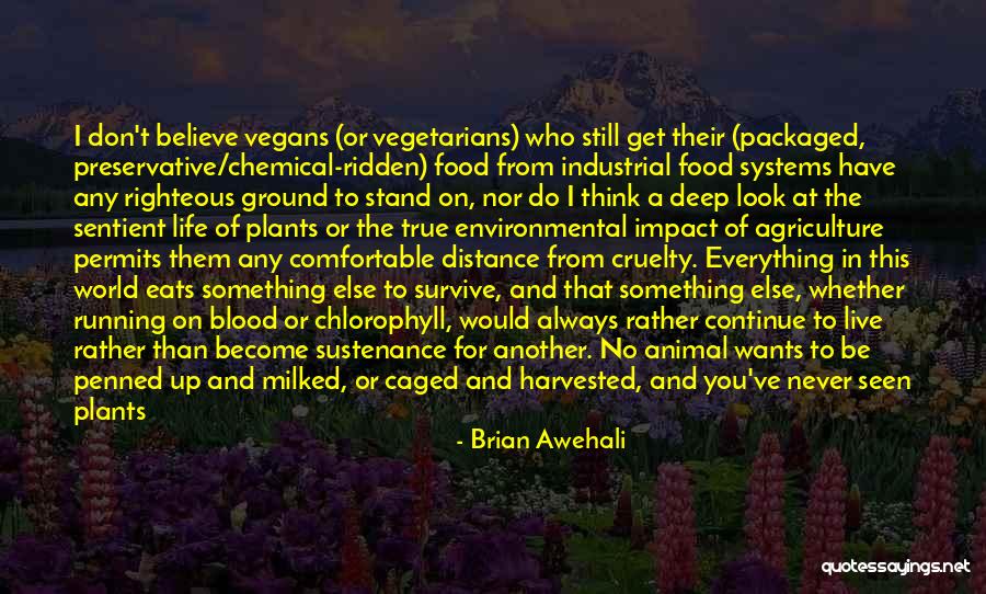 Environmental Ethics Quotes By Brian Awehali