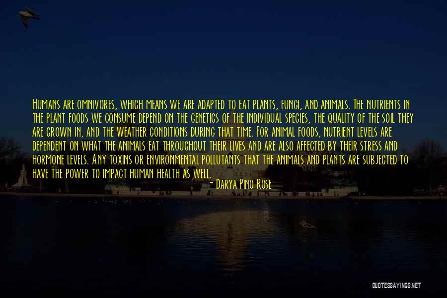 Environmental Health Quotes By Darya Pino Rose Environmental Health Quotes By Darya Pino Rose