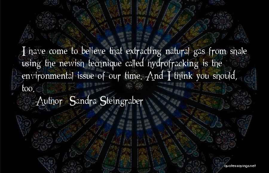 Environmental Issue Quotes By Sandra Steingraber