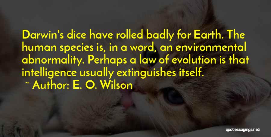 Environmental Law Quotes By E. O. Wilson