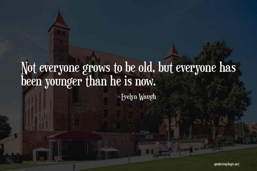 Environmentalisms Club Quotes By Evelyn Waugh Environmentalisms Club Quotes By Evelyn Waugh