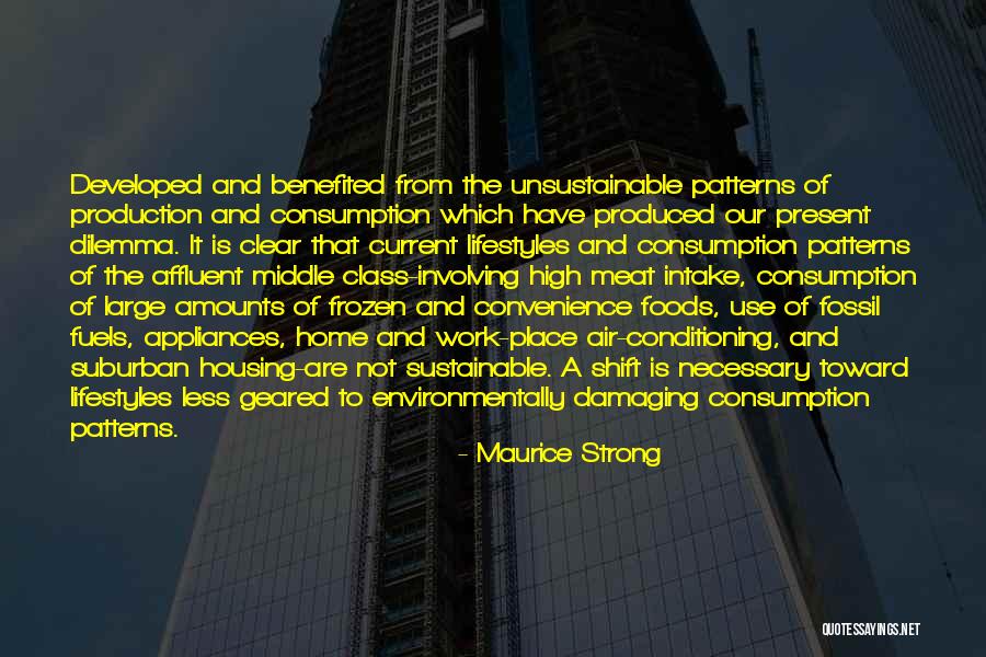 Environmentally Quotes By Maurice Strong Environmentally Quotes By Maurice Strong