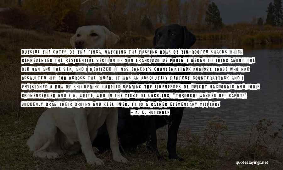 Envisioned Quotes By A. E. Hotchner Envisioned Quotes By A. E. Hotchner
