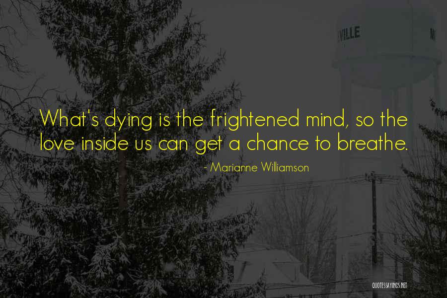 Envisions Pharmacy Quotes By Marianne Williamson Envisions Pharmacy Quotes By Marianne Williamson