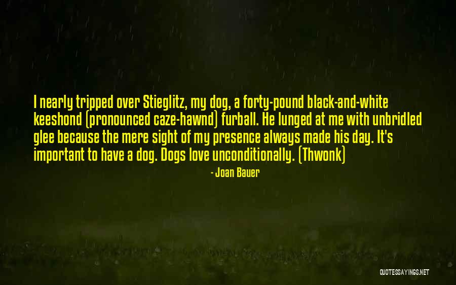 Envolve Provider Quotes By Joan Bauer Envolve Provider Quotes By Joan Bauer