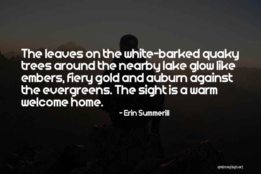 Envy Divine Quotes By Erin Summerill Envy Divine Quotes By Erin Summerill