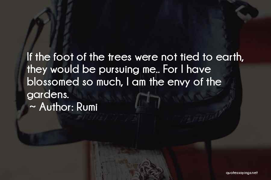 Envy Me Quotes By Rumi