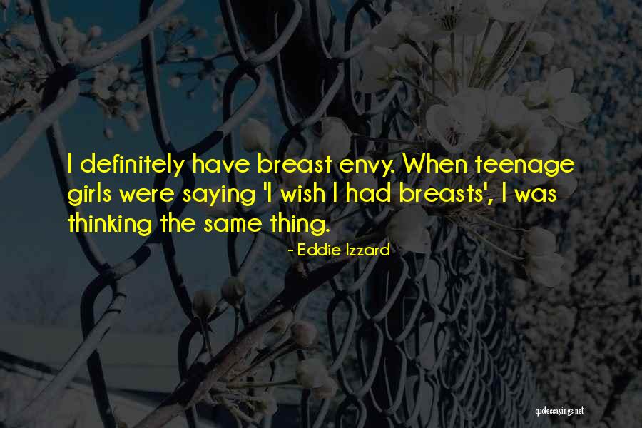 Envy Quotes By Eddie Izzard