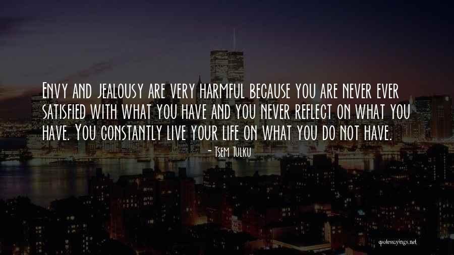 Envy Quotes By Tsem Tulku