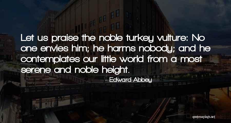 Envy Us Quotes By Edward Abbey