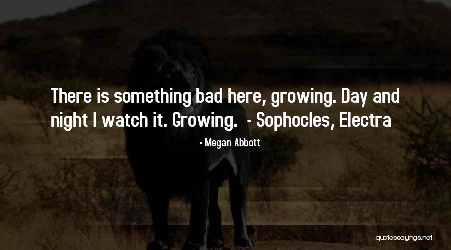 Enxame De Estrelas Quotes By Megan Abbott Enxame De Estrelas Quotes By Megan Abbott