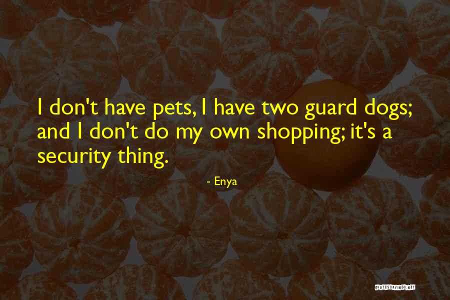 Enya Quotes 1021481