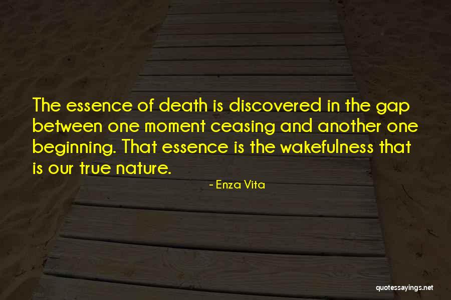 Enza Vita Quotes 974530 Enza Vita Quotes 974530