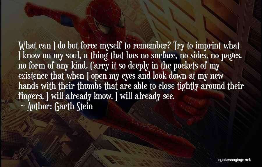 Enzo Quotes By Garth Stein