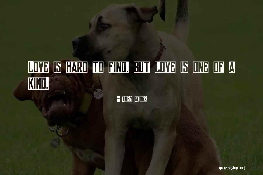 Enzos Kingston Ny Quotes By Trey Songz Enzos Kingston Ny Quotes By Trey Songz