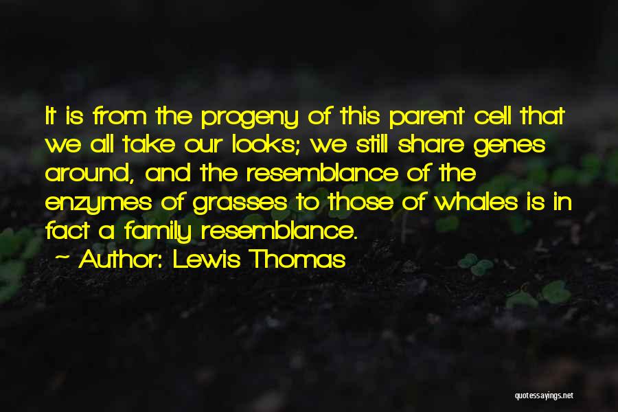 Enzymes Quotes By Lewis Thomas