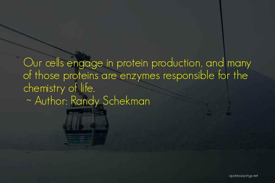 Enzymes Quotes By Randy Schekman