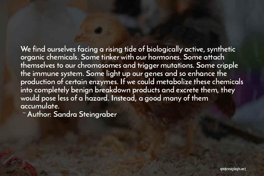 Enzymes Quotes By Sandra Steingraber