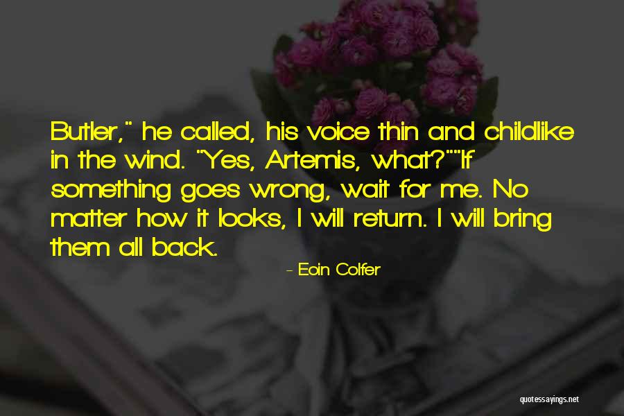 Eoin Colfer Quotes 537397