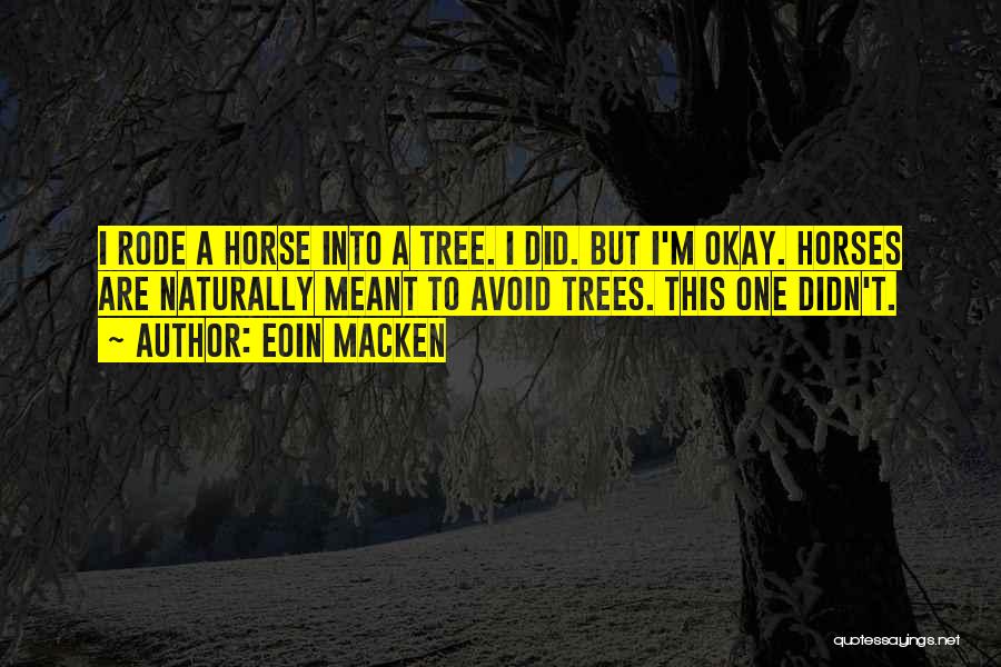 Eoin Macken Quotes 1642649