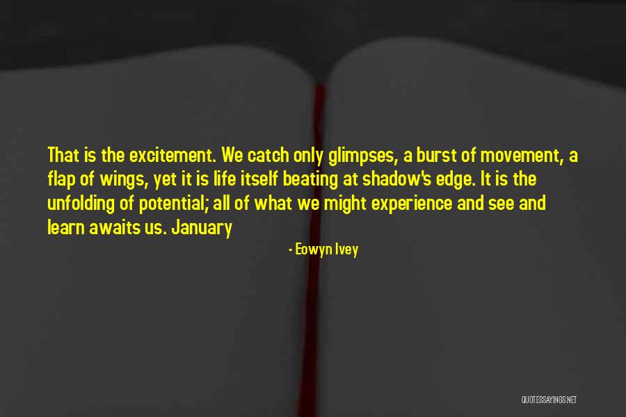 Eowyn Ivey Quotes 182960 Eowyn Ivey Quotes 182960