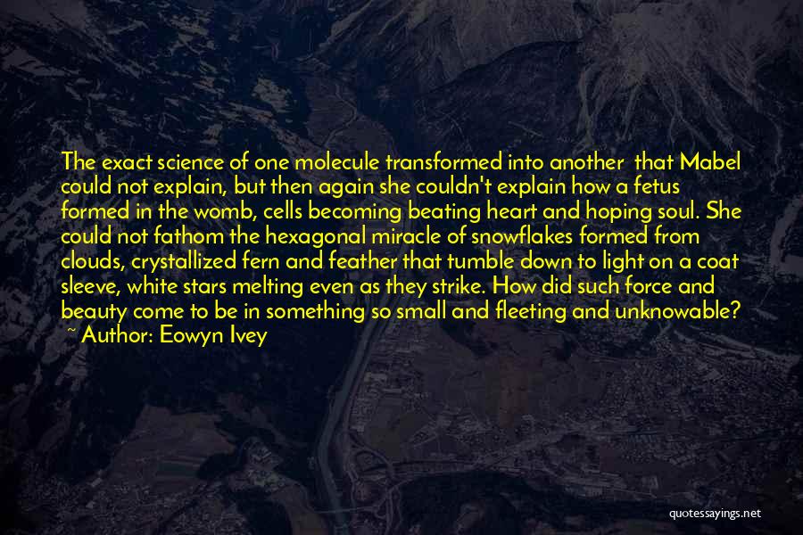 Eowyn Ivey Quotes 1980994